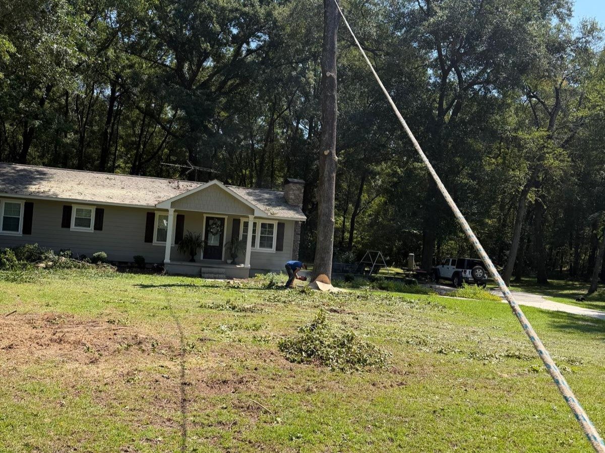 El Costeño Tree Service LLC